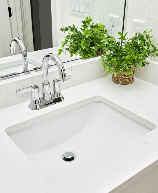 A bathroom sink with a mirror and plants in the background.